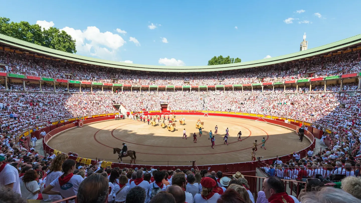 Bullfighting